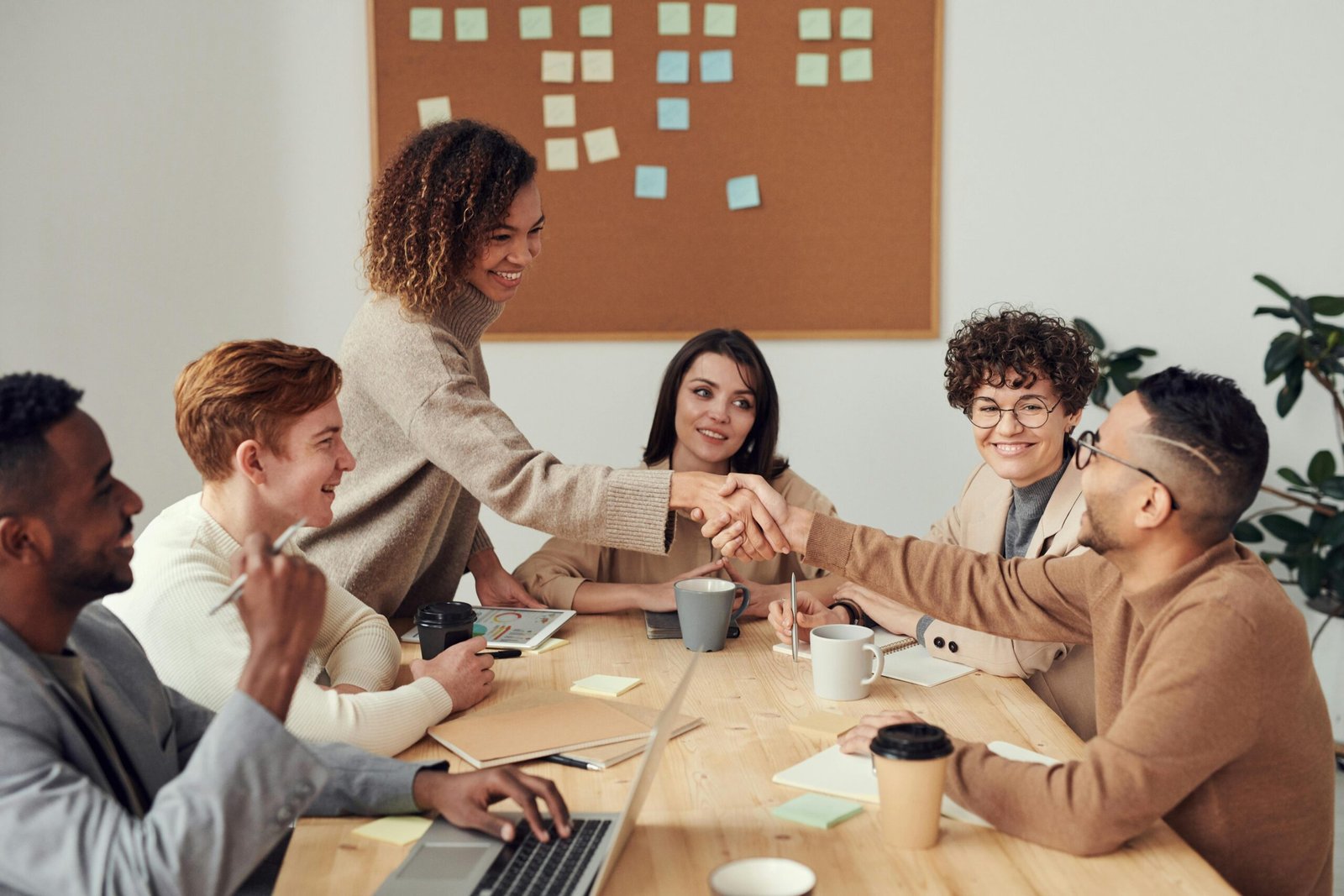Cómo se clasifican los empresarios